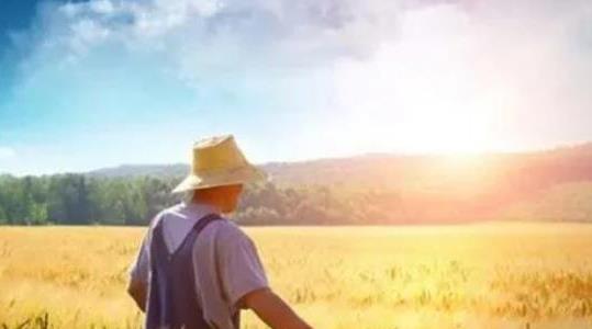 農(nóng)村不起眼的商機有哪些