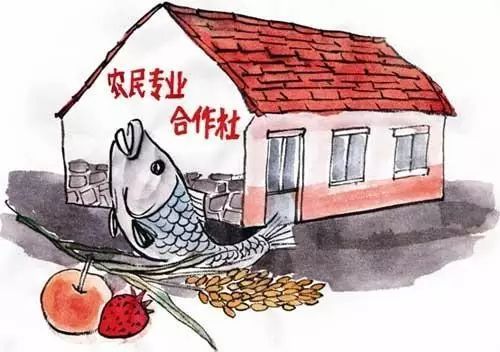 農(nóng)民脫貧的哪些方法