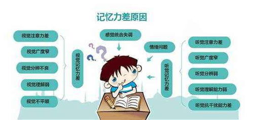 有哪些記憶力好的方法