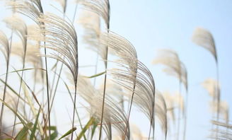 生活中有哪些方法可以產(chǎn)生風(fēng)