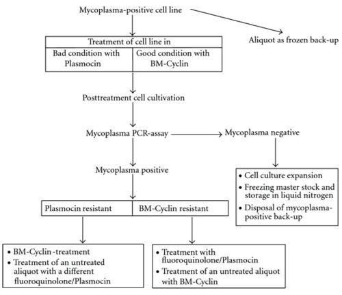 簡述rna常用的提取方法有哪些