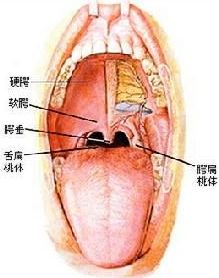 咽炎治療方法有哪些