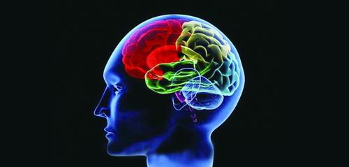 神經功能觀察方法有哪些