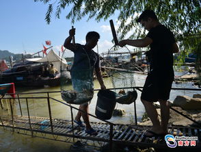 珠江捕魚有哪些方法