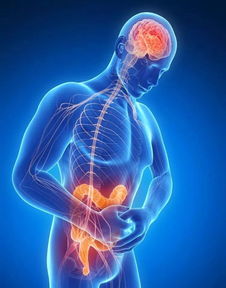 調(diào)理胃腸功能有哪些方法