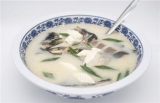 男士滋陰補(bǔ)陽的方法有哪些