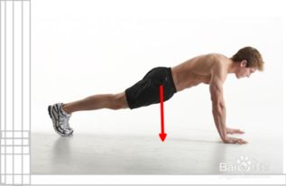 鍛煉肱二頭肌都有哪些方法