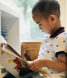 修補圖書的方法有哪些