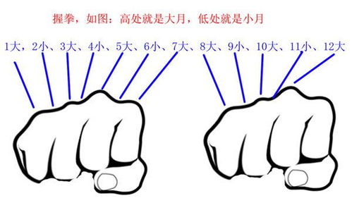 記憶大小月的方法有哪些