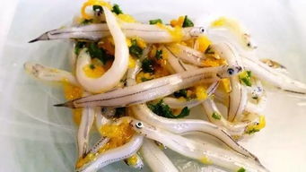 銀魚捕撈方法有哪些