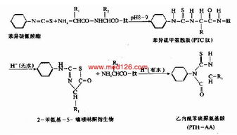 測定蛋白質不同結構的方法有哪些