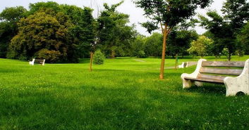 草坪雜草的防除方法有哪些