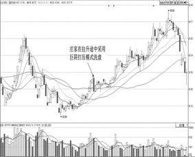 樁家操縱股票有哪些方法