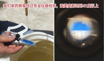 溶液的分類和濃度表示方法有哪些