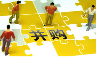 并購審計(jì)有哪些方法