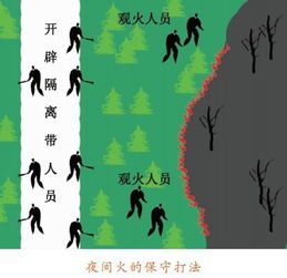 林火撲救基本方法有哪些