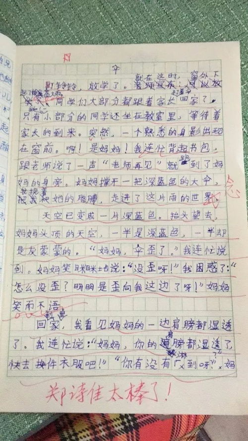 小學(xué)作文都有什么描寫(xiě)方法有哪些