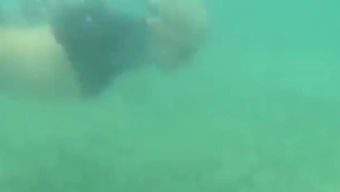 野外捕獵有哪些方法