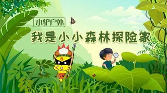 自然教育方法有哪些內(nèi)容是什么意思