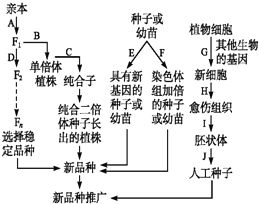 單倍體育種的方法有哪些