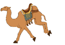 動物運動的方法有哪些特點是什么意思