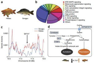 遺傳多樣性的檢測(cè)方法有哪些