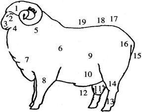胃管測(cè)量體表有哪些方法