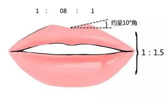 調(diào)整唇形的方法有哪些
