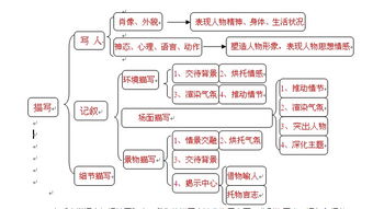 生活中的什么環(huán)境描寫(xiě)方法有哪些