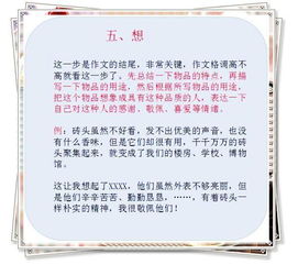 小學(xué)生寫文章的方法有哪些內(nèi)容