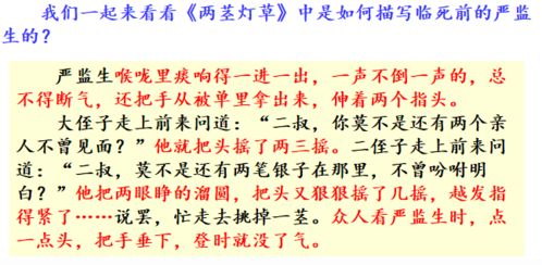 文章描寫方法有哪些特點(diǎn)