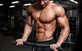 下面屬于肌肉訓(xùn)練方法有哪些