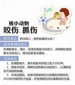 請簡述挫傷的原因與癥狀及處置方法有哪些