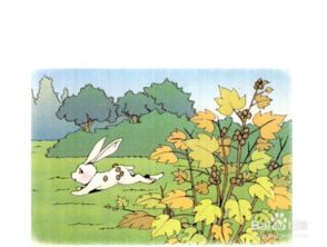 有哪些值物媽媽傳播種子的方法