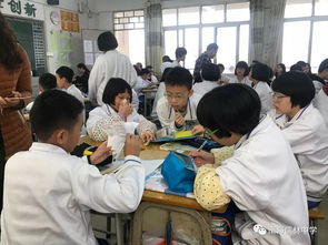 小組合作交流方法有哪些