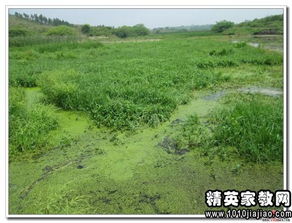 植物調(diào)查的一般方法有哪些