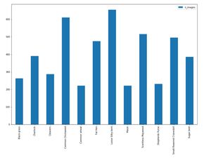 圖像分類傳統(tǒng)方法有哪些