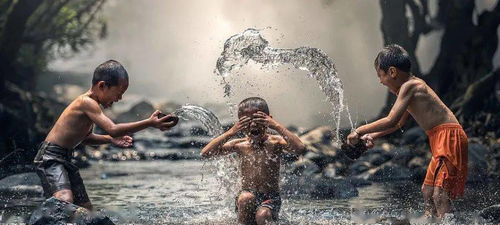 常用的批評(píng)方法有哪些