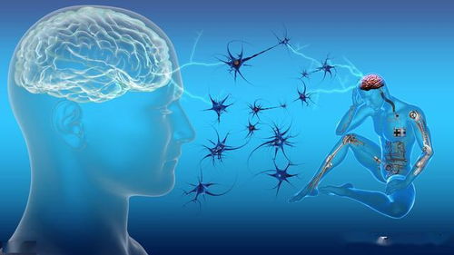 有意識(shí)記有哪些方法