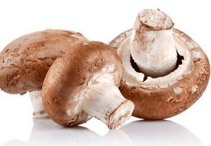 制作減肥食品有哪些方法有哪些方法有哪些