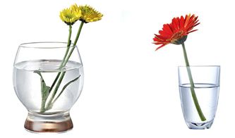 比較吸水的方法有哪些