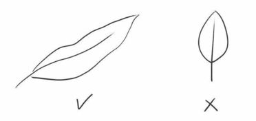 畫植物的方法有哪些大全集