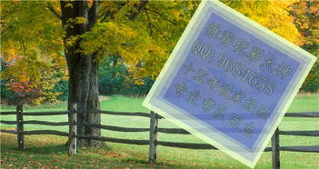 后一萬能7碼有哪些怎么使用方法