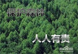 保護(hù)森林方法有哪些