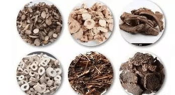 中醫(yī)有哪些健脾的方法