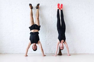 腿部控制訓(xùn)練方法有哪些