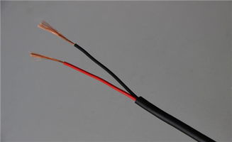 農村家庭電線有哪些安裝方法