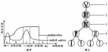 哪些方法可以分離到單體