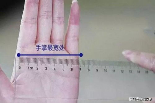 測(cè)量手的面積方法有哪些