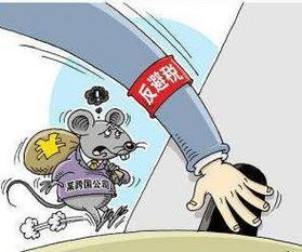 反避稅的方法有哪些